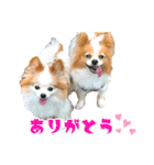 凸凹ファミリーの日常（個別スタンプ：5）