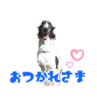凸凹ファミリーの日常（個別スタンプ：7）