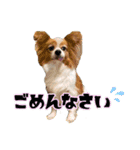 凸凹ファミリーの日常（個別スタンプ：8）