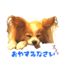 凸凹ファミリーの日常（個別スタンプ：15）