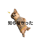 もことクウ（個別スタンプ：3）