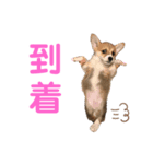 もことクウ（個別スタンプ：4）