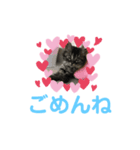 もことクウ（個別スタンプ：7）