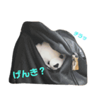 マルモくんたち②（個別スタンプ：6）