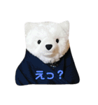 マルモくんたち②（個別スタンプ：17）