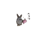 うさぎココちゃん2020（個別スタンプ：3）