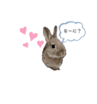 うさぎココちゃん2020（個別スタンプ：7）