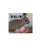 うさぎココちゃん2020（個別スタンプ：9）