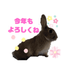 うさぎココちゃん2020（個別スタンプ：10）