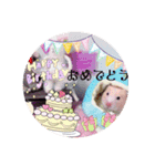 はるちゃん＆あんちゃん4（個別スタンプ：1）