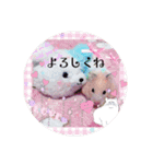 はるちゃん＆あんちゃん4（個別スタンプ：2）