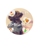 はるちゃん＆あんちゃん4（個別スタンプ：7）