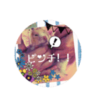 はるちゃん＆あんちゃん4（個別スタンプ：8）
