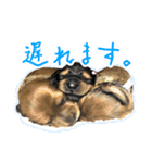 旅犬家のわんわんズ（個別スタンプ：35）