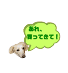 ★Mダックスアン君★スタンプ3 シンプル編（個別スタンプ：18）