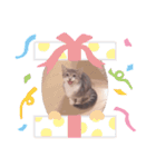 マメちゃんスタンプですョ（個別スタンプ：10）