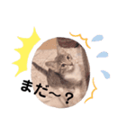 マメちゃんスタンプですョ（個別スタンプ：13）