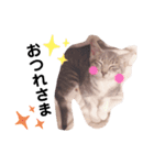 マメちゃんスタンプですョ（個別スタンプ：14）