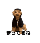 まいぺーす温情犬れお（個別スタンプ：2）