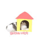しぴたんのすたんぷだよ2（個別スタンプ：10）