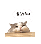 しぴたんのすたんぷだよ2（個別スタンプ：12）