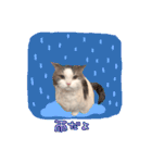 しぴたんのすたんぷだよ2（個別スタンプ：16）