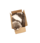 しぴたんのすたんぷだよ2（個別スタンプ：18）