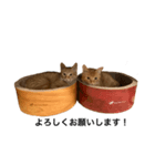 ナノマロ1221（個別スタンプ：4）