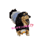 プリンさんふたたび。（個別スタンプ：1）