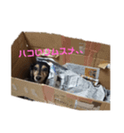 プリンさんふたたび。（個別スタンプ：6）