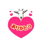 幸福ヤギ『コウ』のスタンプ（個別スタンプ：5）