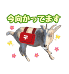 幸福ヤギ『コウ』のスタンプ（個別スタンプ：8）