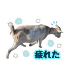 幸福ヤギ『コウ』のスタンプ（個別スタンプ：18）
