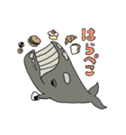 くじら図鑑 〜セミクジラさんver〜（個別スタンプ：14）