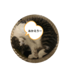 にゃんたの日々の生活（個別スタンプ：5）