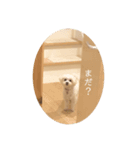 Peco's happy life 2（個別スタンプ：3）