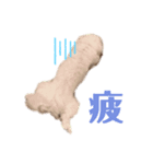 Peco's happy life 2（個別スタンプ：6）