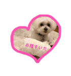 Peco's happy life 2（個別スタンプ：7）