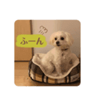 Peco's happy life 2（個別スタンプ：8）