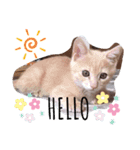 ナトくんスタンプです（個別スタンプ：1）