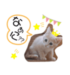 ナトくんスタンプです（個別スタンプ：3）