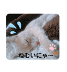 ナトくんスタンプです（個別スタンプ：4）
