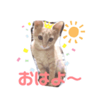 ナトくんスタンプです（個別スタンプ：10）