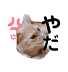 ナトくんスタンプです（個別スタンプ：11）