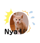 ナトくんスタンプです（個別スタンプ：13）
