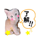 ナトくんスタンプです（個別スタンプ：16）