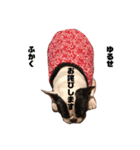 フレンチブルドッグのBoss The  French〜（個別スタンプ：12）