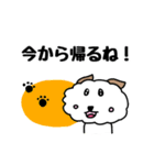モフモフ風太くん【シンプル】（個別スタンプ：21）