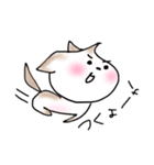 《使える》こむぎ もなか 時々ライオン（個別スタンプ：37）