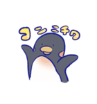 ペンギンの観察（個別スタンプ：20）